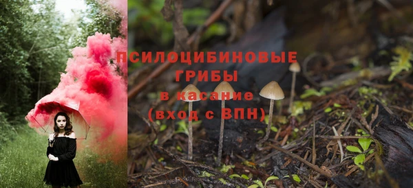 прущие крисы Кулебаки