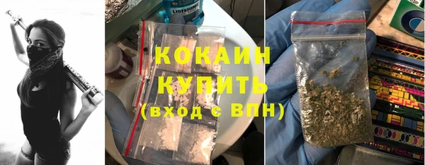 прущие крисы Кулебаки