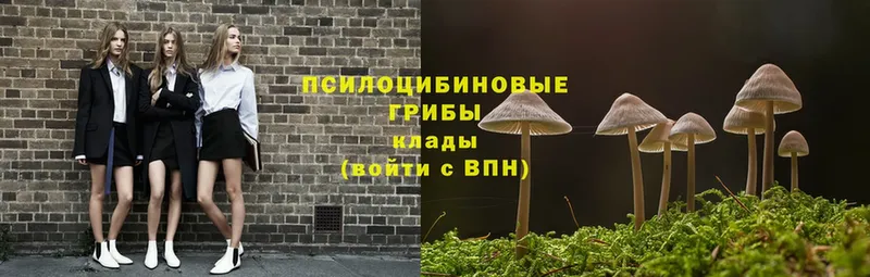 Галлюциногенные грибы MAGIC MUSHROOMS  Нестеровская 